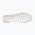 Pánské tréningové boty Nike Flex Train phantom/white/sail/pencil point 3