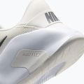 Pánské tréningové boty Nike Flex Train phantom/white/sail/pencil point 6