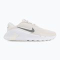 Pánské tréningové boty Nike Flex Train phantom/white/sail/pencil point 2