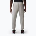 Pánské kalhoty Jordan Sport Crossover grey heather 3