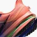 Pánské běžecké boty Nike Pegasus Premium racer blue/atomic pink/volt tint/black 8