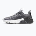 Pánské tréningové boty Nike Free Metcon 7 pencil point/medium ash/white 2