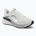 Dámské běžecké boty Nike Pegasus 42 summit white/sail/black/metallic silver