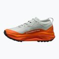 Pánské běžecké boty Nike ACG Zegama Trail GORE-TEX light silver/safety orange/summit white 2