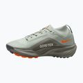 Dámské běžecké boty Nike ACG Pegasus Trail GORE-TEX Light Silver/Light Army/Light Silver 2