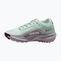 Dámské běžecké boty Nike ACG Pegasus Trail GORE-TEX Barely Green/Silver Lilac/Light Bone 2