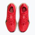 Pánské běžecké boty Nike ACG Zegama Trail light crimson/light orewood brown/black/black 4