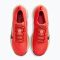 Pánské běžecké boty Nike ACG Pegasus Trail GORE-TEX Light Crimson/Linen/Black 5