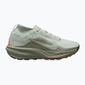 Pánské běžecké boty Nike ACG Pegasus Trail GORE-TEX Light Silver/Light Army/Light Silver