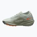 Pánské běžecké boty Nike ACG Pegasus Trail GORE-TEX Light Silver/Light Army/Light Silver 2
