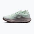 Dámské běžecké boty Nike ACG Zegama Trail barely green/Tattoo/Silver Lilac 2
