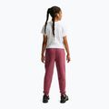 Dětské kalhoty Nike Sportswear Studio pink smoke/white 3