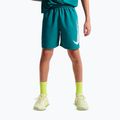 Dětské šortky Nike Multi Refresh bright spruce
