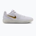 Pánské basketbalové boty Nike LeBron Witness X white/white/photon dust/metallic gold