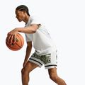 Pánské basketbalové šortky Nike Giannis volt/off white/off white 6