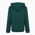 Dětská mikina New Balance Brush Back Small Logo Hoodie medusa green 7