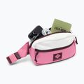 Ledvinka Columbia Trail Traveler Hip sea salt/rosette/moonvista 4
