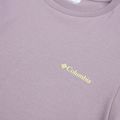 Pánské tričko Columbia CSC Basic Logo Back Tee shale purple/linework c badge 3