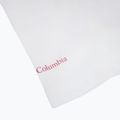 Dámské tričko Columbia Ruby Springs Graphic Fitted white/brandrise 4