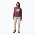 Dámské tričko Longsleeve Columbia Parsons Point LS Graphic Tee antique mauve heather/all terrain 2