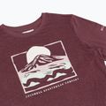 Dámské tričko Longsleeve Columbia Parsons Point LS Graphic Tee antique mauve heather/all terrain 8
