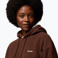Dámská fleecová mikina Columbia Timber Meadow MTR Fleece Hoodie tobacco 6