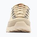 Pánské trekové boty Columbia Newton Alpine Low fossil/sedona sage 3