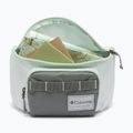 Ledvinka Columbia Zigzag II Hip Pack 1 l sedona sage/tea light 3