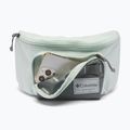 Ledvinka Columbia Zigzag II Hip Pack 1 l sedona sage/tea light 4