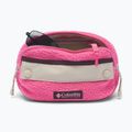 Ledvinka Columbia Helvetia II Hip Pack 1 l nico/dark stone 3