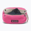 Ledvinka Columbia Helvetia II Hip Pack 1 l nico/dark stone 4