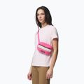 Ledvinka Columbia Helvetia II Hip Pack 1 l nico/dark stone 5