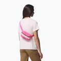 Ledvinka Columbia Helvetia II Hip Pack 1 l nico/dark stone 6