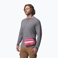 Ledvinka Columbia Helvetia II Hip Pack 1 l nico/dark stone 7