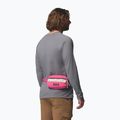 Ledvinka Columbia Helvetia II Hip Pack 1 l nico/dark stone 8