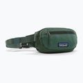 Ledvinka Patagonia Terravia Mini Hip canopy green
