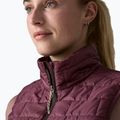 Dámská vesta Patagonia Nano Puff berry fig 6