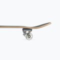 Klasický skateboard Mechanics Pro-Extreme 31 Pro-ext 6