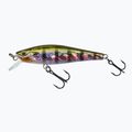 Gunki Gamera SP Twitch Brown Gill 34752