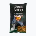 Sensas 3000 Carp Tasty Orange rybářská návnada oranžová 40712