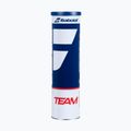 Tenisové míčky Babolat Team 4 ks. yellow 2