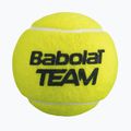 Tenisové míčky Babolat Team 4 ks. yellow 3