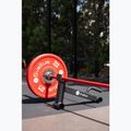 Sveltus Deadlift Bar Jack black 5