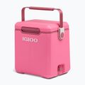 Cestovní lednice Igloo Tag Along Too Highrise 18 l pink 2