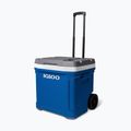 Cestovní lednice Igloo Latitude 60 Qt 56 l indigo blue 2