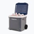 Turistická chladnička Igloo Maxcold Latitude 62 Qt Roller 59 l carbonite/ aegean sea 16