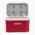 Cestovní lednice Igloo Latitude 52 49 l industrial red 12