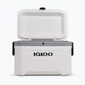 Turistická chladnička Igloo Latitude Marine Ultra 54 51 l white/moonscape grey 4