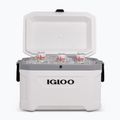 Turistická chladnička Igloo Latitude Marine Ultra 54 51 l white/moonscape grey 10