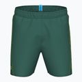 Pánské plavecké šortky arena Fundamentals Arena Logo Boxer R artic lime/mangrove 3